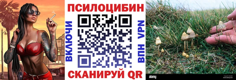 Псилоцибиновые грибы Magic Shrooms Ульяновск