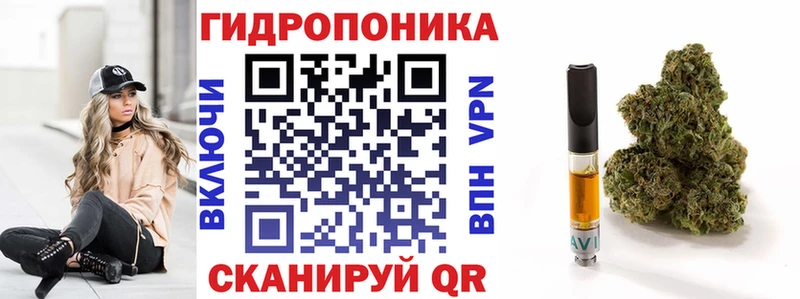 наркота  Ульяновск  Бошки марихуана сатива 